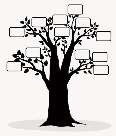Decision Tree